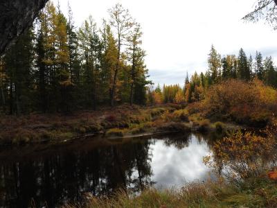 Прикрепленное изображение: DSCN1251.JPG