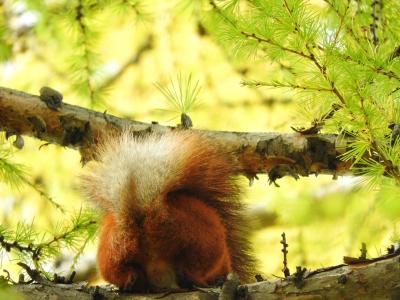 Прикрепленное изображение: DSCN1275.JPG