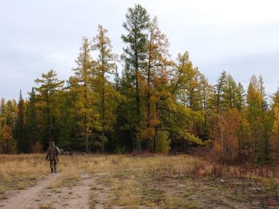 Прикрепленное изображение: DSCN1247.JPG