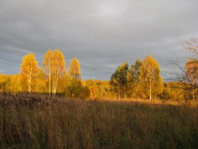 Прикрепленное изображение: IMG_2812.jpg