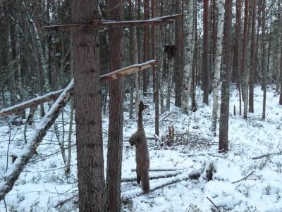 Прикрепленное изображение: Изображение 629.jpg