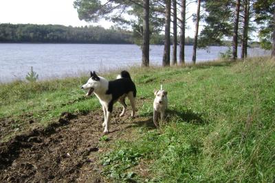 Прикрепленное изображение: 28.09.2012г..JPG