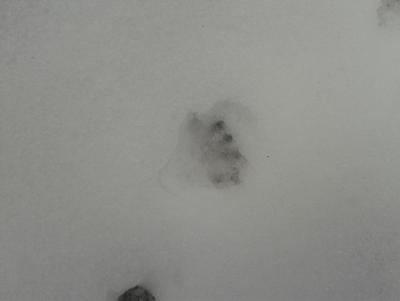 Прикрепленное изображение: 20131014_160737.jpg
