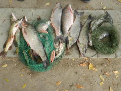 Прикрепленное изображение: 2014-10-05 17-09-06.JPG