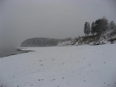 Прикрепленное изображение: IMG_1270.JPG