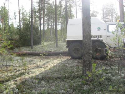 Прикрепленное изображение: IMG_1237.JPG
