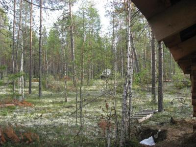 Прикрепленное изображение: IMG_1236.JPG