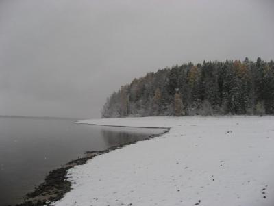 Прикрепленное изображение: IMG_1271.JPG