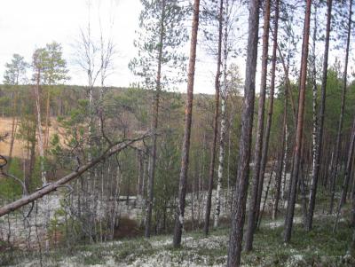 Прикрепленное изображение: IMG_1245.JPG