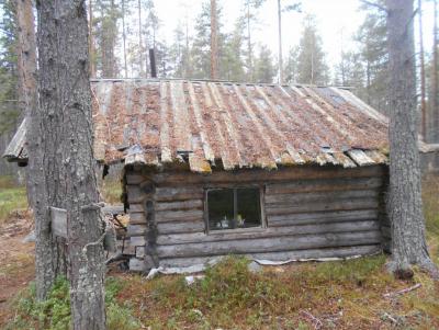 Прикрепленное изображение: DSCN6131.JPG