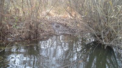 Прикрепленное изображение: 20161022_131741 (1).jpg