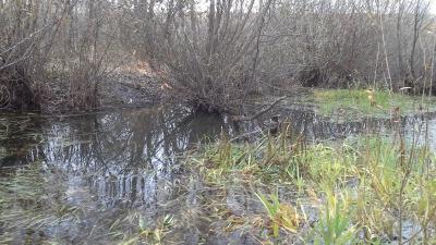 Прикрепленное изображение: 20161022_131715.jpg