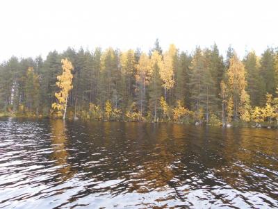 Прикрепленное изображение: 2017-10-02 13-01-36.JPG