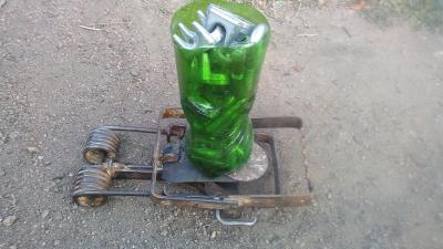 Прикрепленное изображение: 20191006_083102.jpg