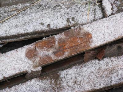 Прикрепленное изображение: IMG_2080.jpg