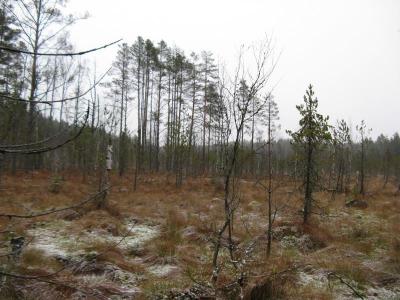 Прикрепленное изображение: IMG_2084.jpg