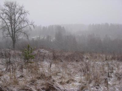 Прикрепленное изображение: IMG_2095.jpg