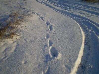 Прикрепленное изображение: P1011478.JPG