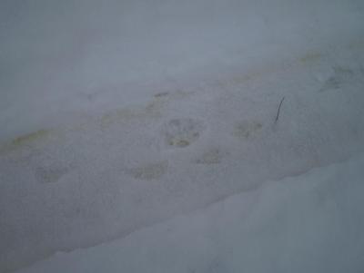 Прикрепленное изображение: PB121469.JPG
