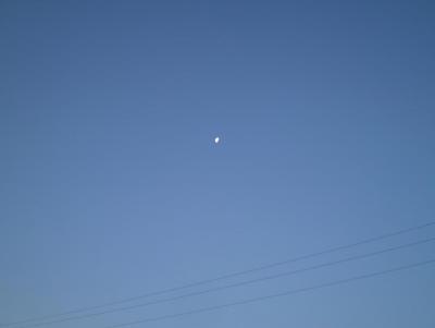Прикрепленное изображение: P1011464.JPG