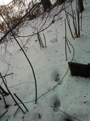 Прикрепленное изображение: сле.jpg