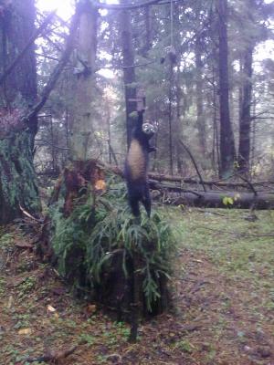 Прикрепленное изображение: 031120122115.jpg
