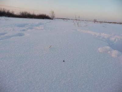 Прикрепленное изображение: P1080429.JPG