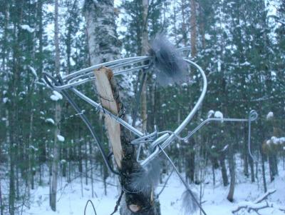 Прикрепленное изображение: DSC02739.JPG