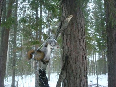 Прикрепленное изображение: DSC02728.JPG