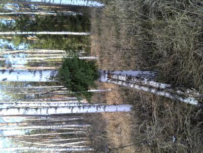 Прикрепленное изображение: DSC00013.jpg