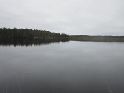 Прикрепленное изображение: IMG_0727.JPG