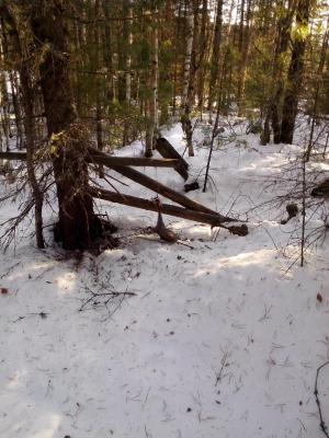 Прикрепленное изображение: IMG_20141103_144718.jpg