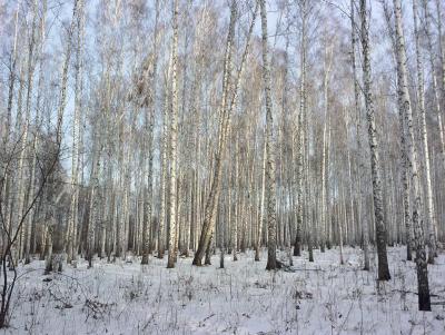 Прикрепленное изображение: CAM00905.jpg