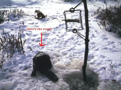 Прикрепленное изображение: post-1522-0-66624600-1417017231_thumb.jpg