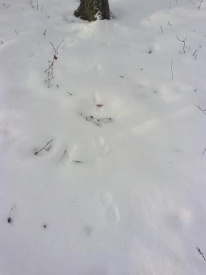 Прикрепленное изображение: CAM00900.jpg