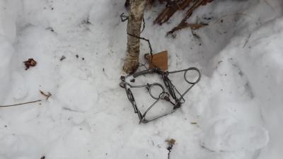 Прикрепленное изображение: 02 (1).jpg