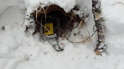 Прикрепленное изображение: 02 (2).jpg