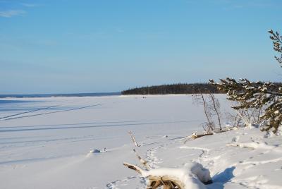 Прикрепленное изображение: DSC_0159.JPG