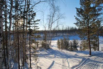 Прикрепленное изображение: DSC_0157.JPG