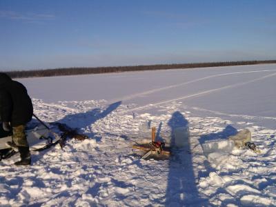 Прикрепленное изображение: IMG_20151115_130655.jpg