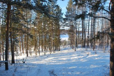 Прикрепленное изображение: DSC_0155.JPG