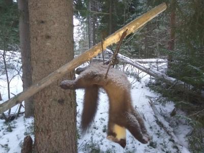 Прикрепленное изображение: 003.jpg