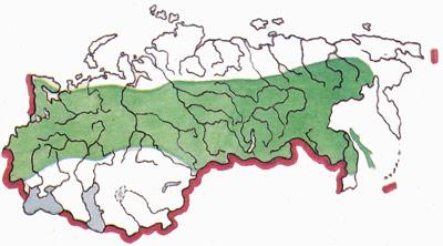 Прикрепленное изображение: 0680-2.jpg