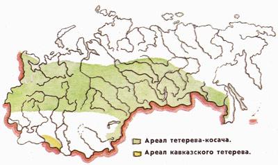 Прикрепленное изображение: 0678-2.jpg