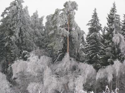 Прикрепленное изображение: IMG_2158.jpg