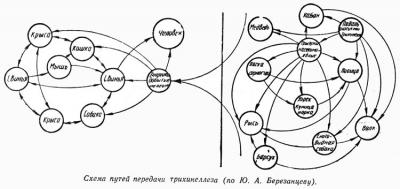 Прикрепленное изображение: 0824-2.jpg