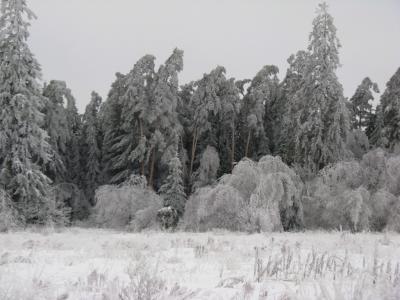 Прикрепленное изображение: IMG_2156.jpg