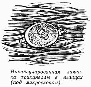 Прикрепленное изображение: 0824-1.jpg