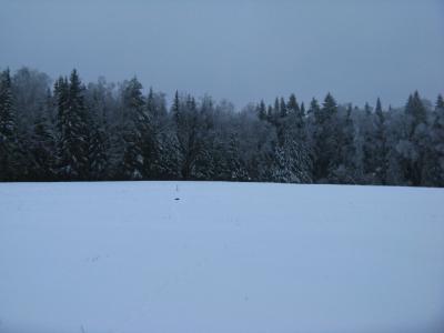 Прикрепленное изображение: IMG_2162.jpg