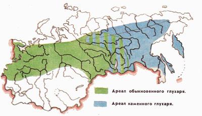 Прикрепленное изображение: 0679-2.jpg
